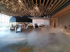 -Seesaw Coffee(朝阳大悦城店)