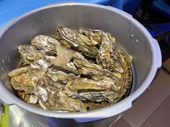 -千岛蚝高压锅生蚝·人参火锅(白云万达店)