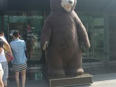 android_upload_pic-济州岛泰迪熊博物馆