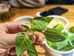 -食欲老院子荆芥疙瘩汤(经五路店)