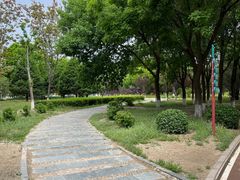 -太阳宫公园