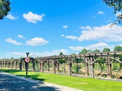 -北京张裕爱斐堡酒庄