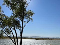 -野鸭湖国家湿地公园