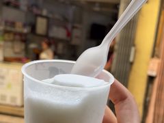 -洪馨椰子