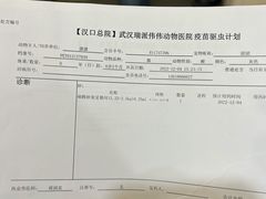 -伟伟宠物医院·CT影像中心·瑞派犬猫综合性门诊(汉口总院)