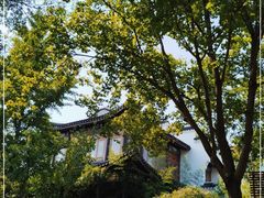 -北宫国家森林公园