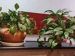 -怪噜范·老贵阳街头名小吃(鸿通城店)