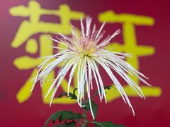 -南山植物园