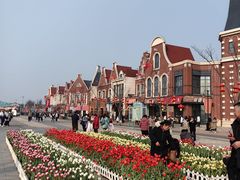 -荷兰花海