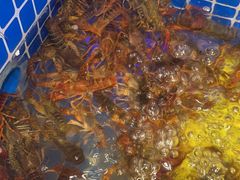 -锅儿欢海鲜火锅烤肉自助餐(东港凯虹店)