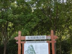 -东郊湿地公园
