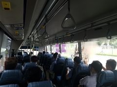 -大埔公路-马料水段香港中文大学(公交站)