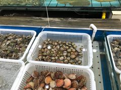 -海岛渔村大酒店(云霄路店)