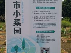 -长洲岛都市农业公园