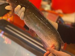 -江湖水乡铁锅炖魚(周庄嘉园店)