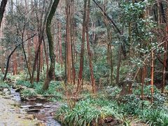 景点-虎跑公园