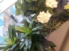 -博纳国际影城(淄博店)