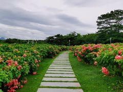-深圳湾公园(南山区)