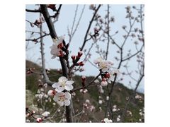 -蟠龙山长城景区