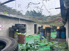 -东湖小天池真人CS彩弹野战基地