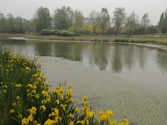 -东郊湿地公园