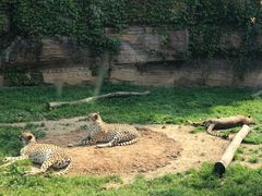 -杭州野生动物世界