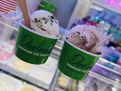 -Dooley's Premium Ice Cream