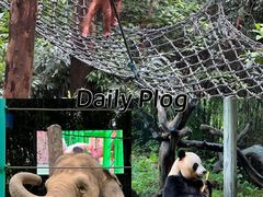 -广州长隆野生动物世界
