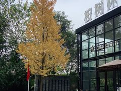 -桉树林A coffee 森林餐厅(三圣乡店)