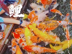 -裕兴记·三虾面(西北街总店)
