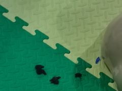 -嘉文梦想世界(SM天津滨海城市广场店)