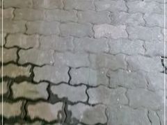 -panchos 墨西哥餐厅(嘉绿苑店)