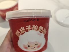 -船歌·鱼水饺青岛菜(恒隆广场店)
