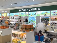-新罗免税店