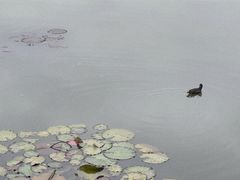 -荔湾湖公园