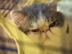 -四季暖堂·融合江浙菜(N1955创业园店)