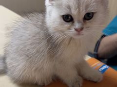 -宠颐生宠物医院外科·内科·皮肤科·影像科(石龙店)