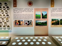 -中国茶叶博物馆(双峰馆区)