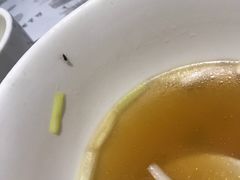 -糖朝(尖沙咀店)