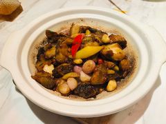 火腩焗多宝鱼-同庆楼(滨湖万达广场店)