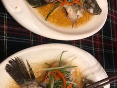 -小龙酒家(桂平路店)