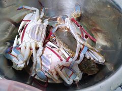 -鸿港海鲜批发市场