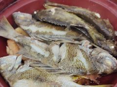 -馨越楼·点心·粤菜(赤坎店)