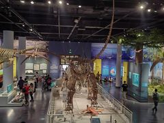 -国家自然博物馆