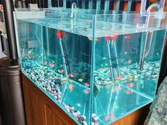 -繁花足道(梅江店)