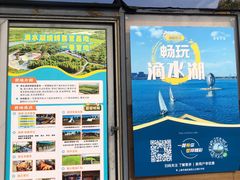 -春花秋色城市公园