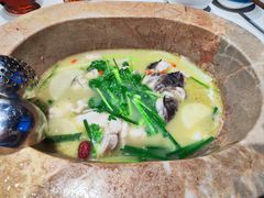 -七采菌园·野生菌石锅鱼(环城北路店)