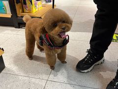 -FAELING PETS美天灵宠物(富力广场店)