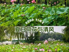 -东升八家郊野公园