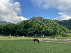 -狮子沟牧场